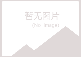 新疆字迹会计有限公司